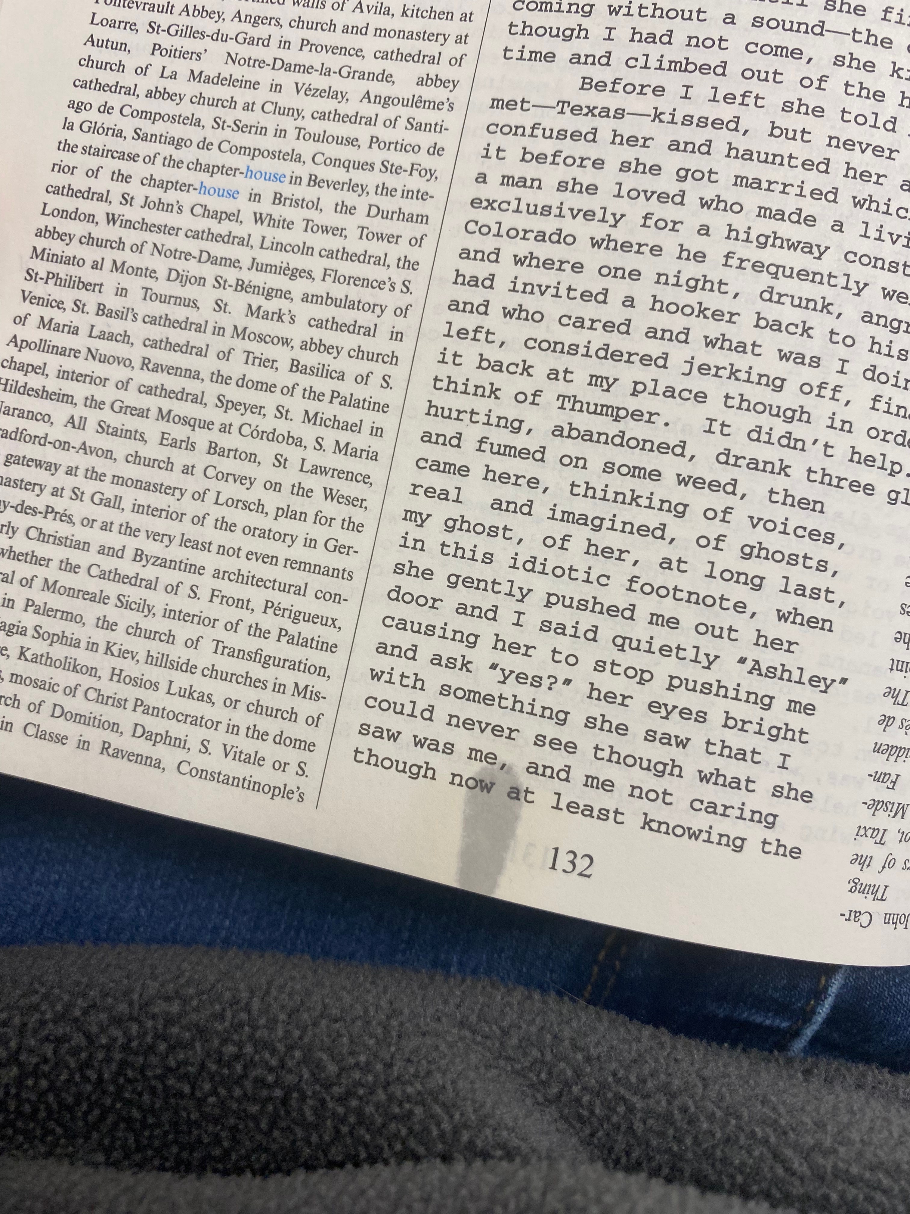 A photo of page 132 of house of leaves. there is, what appears to be, a small grease stain on the bottom portion of that page.